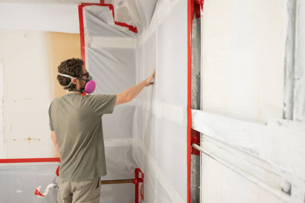 Best Post-Construction Mold Inspection  in Stearns, KY