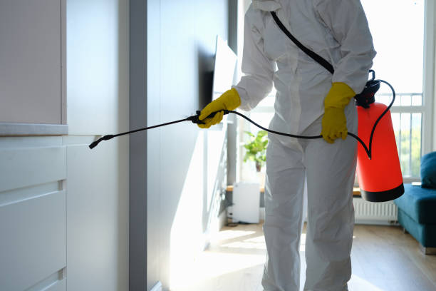 Mold Documentation for Insurance Claims in Stearns, KY