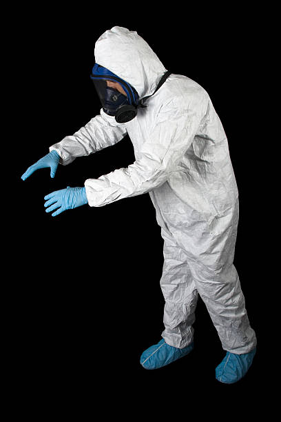 Best Asbestos and Lead Testing During Mold Inspection  in Stearns, KY